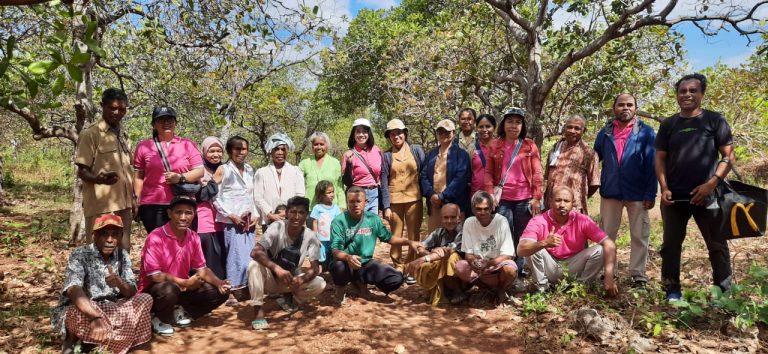 Trichoderma: Kunci Menghidupkan Kebun Jambu Mente di Baumata