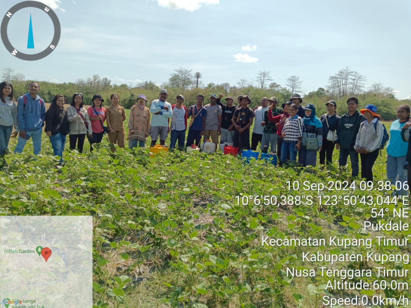 Gerakan Pengendalian OPT Tanaman Kacang Hijau