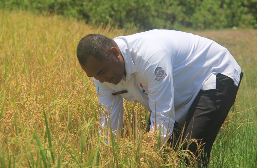 Dari GCPL dan NONA SARI Bikin Generasi NTT Bertambah Cerdas,…