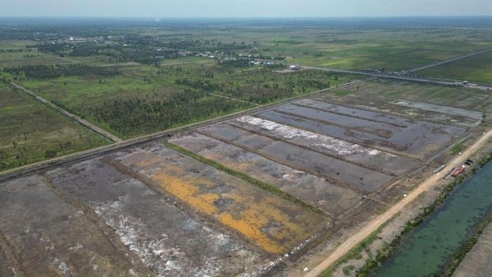 Ombudsman Dukung Cetak Sawah Bangun Irigasi untuk Genjot Produksi Padi