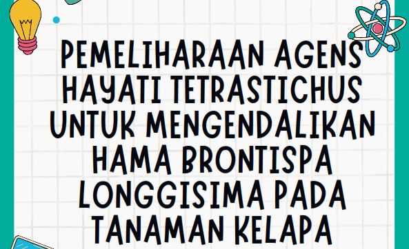 Pemeliharaan Agens Hayati Tetrastichus Untuk Mengendalikan Hama Brontispa Longgisima Pada Tanaman Kelapa