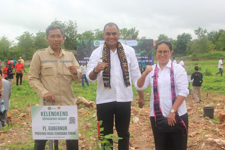 Gerakan Hijau Sejuk NTT Ku: Upaya Kolektif Menjaga Kelestarian Lingkungan di Nusa Tenggara Timur