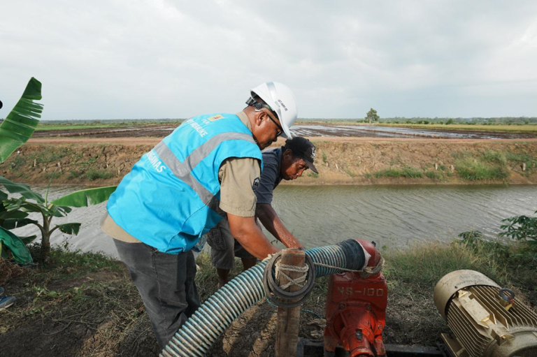 Dukung Modernisasi Sektor Pertanian, Program Electrifying Agriculture PLN Tambah 53.539 Pelanggan Baru