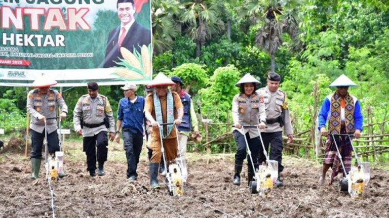 Kapolda NTT Pimpin Kegiatan Tanam Jagung Serentak di Desa Letneo Kabupaten Timor Tengah Utara