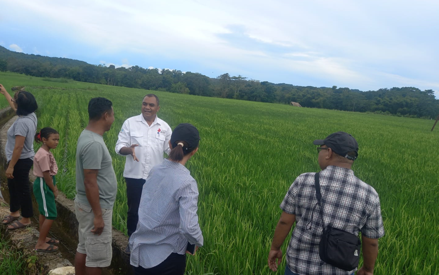 Kunjungan Plt Kadistankp Bersama Ka. Perum Bulog di Waikelo Sawah,…