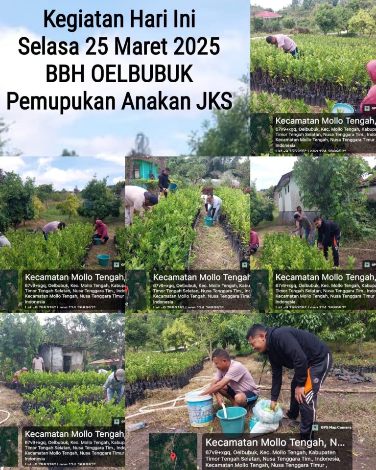 UPTD Perbenihan Kebun Dinas & LAB Hayati Perkebunan (BBH Nonbes, BBH Lambanapu, BBH Kuya, BBH Detubapa, BBH Lembor, BBH Oelbubuk, BBH Mbay, BBU Ogi & BBI Tarus)