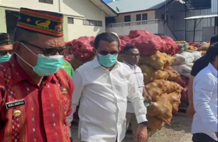 Manggarai Timur Ditunjuk Jadi Pusat Produksi Porang NTT, Ekspor Langsung…
