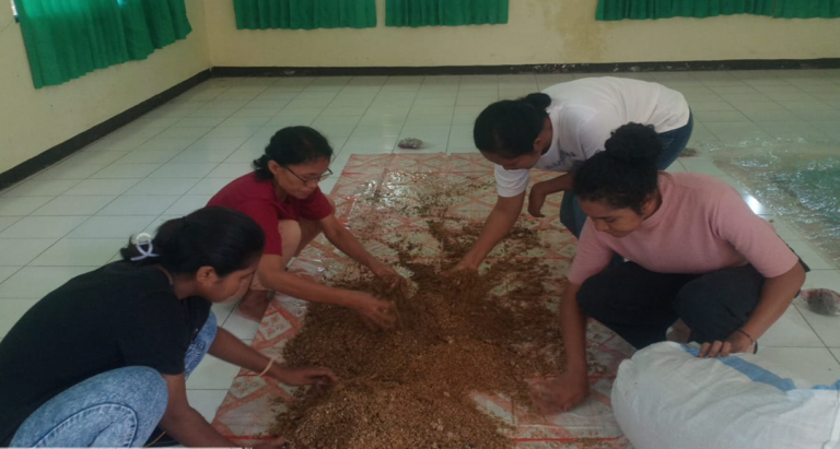 Inovasi Pengendalian Hayati pada Kakao: Keberhasilan Aplikasi Trichoderma Di Kebun Dinas Wairklau