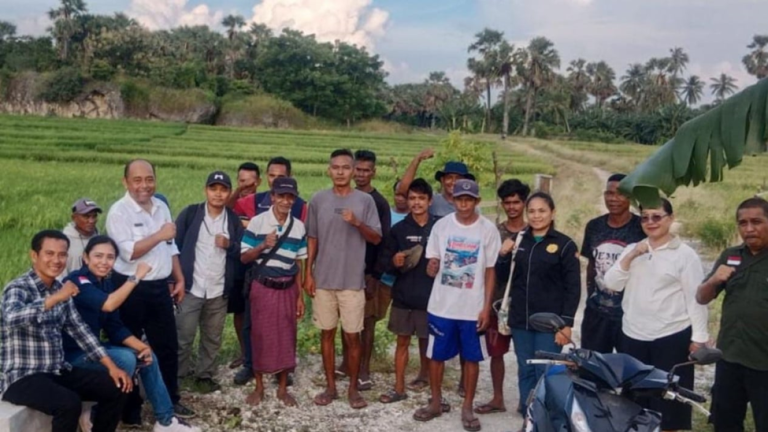 Utusan Kementerian Pertanian Tinjau Langsung Sawah Terdampak Banjir di Rote Ndao