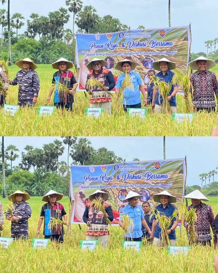 Gubernur NTT Melki Laka Lena Hadiri Kegiatan Panen Raya Padi Bersama Ketua Sinode GMIT di Kabupaten Rote Ndao