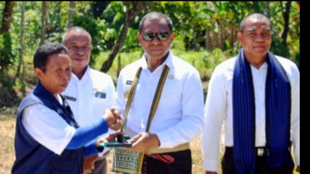 WAGUB Johny Asadoma Yakin PETANI ALOR Panen UNTUNG Berlipatganda Jika TIGA KALI Tanam