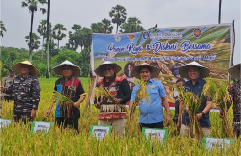 Sinergi Untuk Memperkuat Ketahanan Pangan di Pulau Selatan NKRI