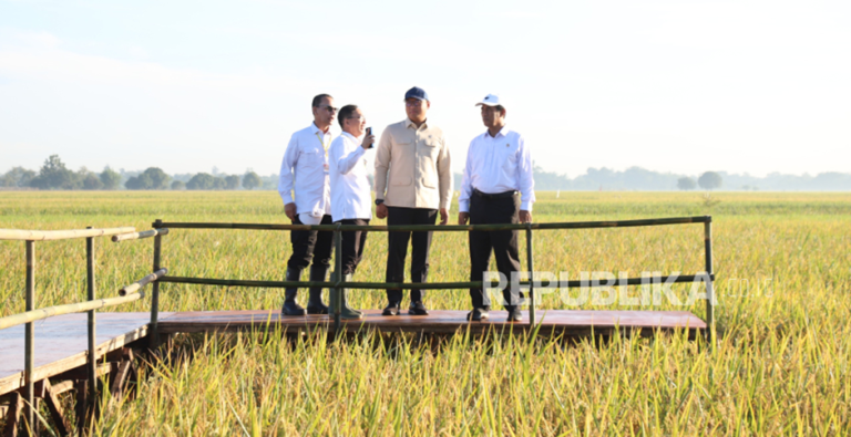 Tanpa Impor, Serapan Beras Bulog Januari-Mei Tertinggi dalam 57 Tahun : Presiden memerintahkan membuat gudang darurat agar Bulog terus menyerap beras petan