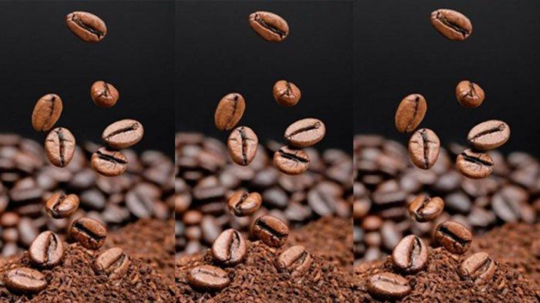 Opini: Kopi Timor di Kabupaten Belu, Warisan yang Belum Terangkat