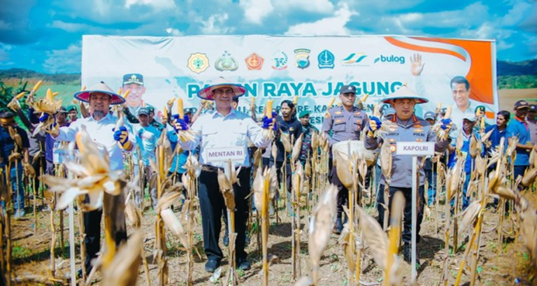 Mentan Bawa Kabar Gembira buat Petani Jagung