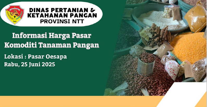 Pemantauan Harga Komoditi Tanaman Pangan di Pasar Oesapa