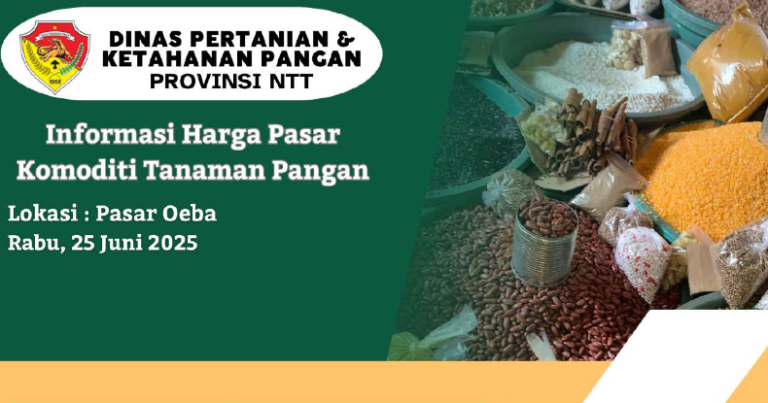 Pemantauan Harga Komoditi Tanaman Pangan di Pasar Oeba