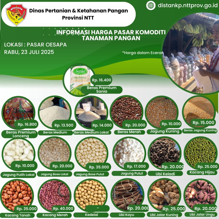 23 Juli 2025 Informasi Harga Komoditi Tanaman Pangan di Pasar Oesapa