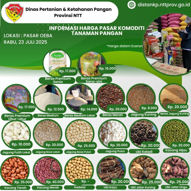 23 Juli 2025 Informasi Harga Komoditi Tanaman Pangan di Pasar Oeba