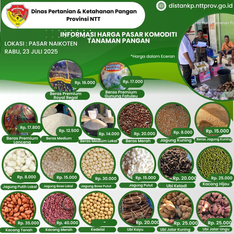 23 Juli 2025 Informasi Harga Komoditi Tanaman Pangan di Pasar Naikoten