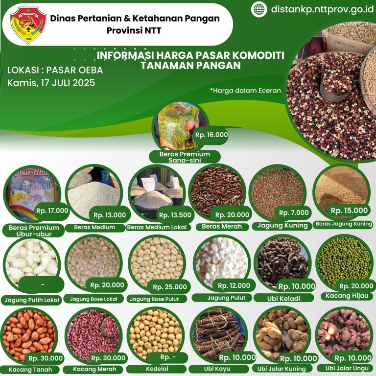 17 Juli 2025 Informasi Harga Komoditi Tanaman Pangan di Pasar Oeba