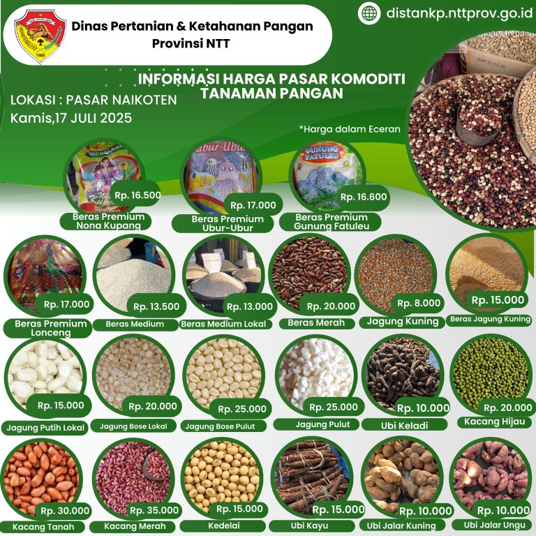 17 Juli 2025 Informasi Harga Komoditi Tanaman Pangan di Pasar Naikoten