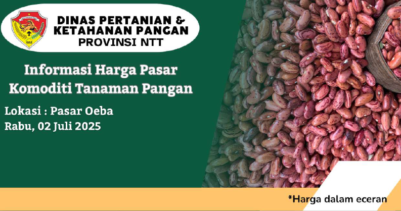 Pemantauan Harga Komoditi Tanaman Pangan di Pasar Oeba