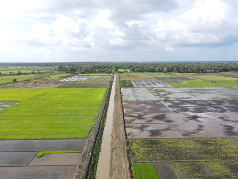 Mentan Andi Amran Sulaiman Tegaskan Percepatan Cetak Sawah dan Optimasi Lahan untuk Wujudkan Swasembada Pangan