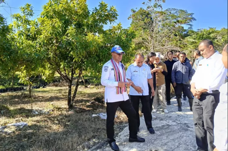 Wagub Johni Asadoma Tinjau Balai Benih Hortikultura Oelbubuk
