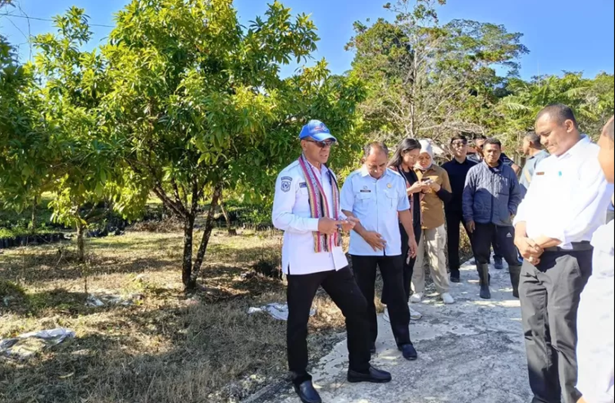 Wagub Johni Asadoma Tinjau Balai Benih Hortikultura Oelbubuk