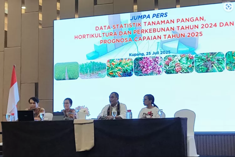 NTT Dapat Alokasi 13.810 Hektare Cetak Sawah Rakyat