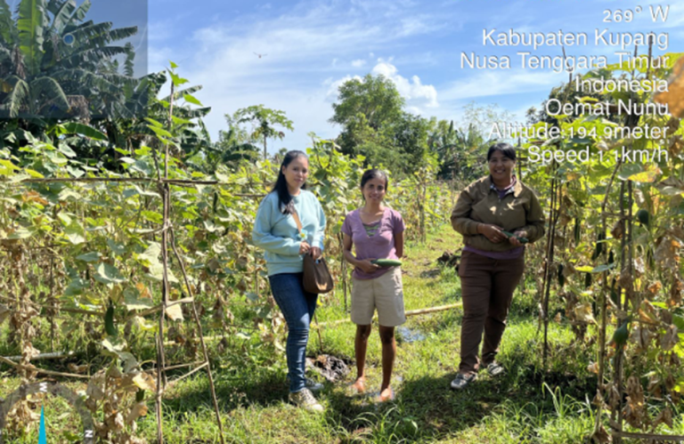 Satu Langkah, Banyak Manfaat: Penyuluh Pertanian Provinsi NTT Dorong Pembentukan Kelompok Tani di Kupang Barat
