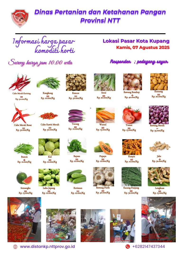 07 Agustus 2025 Informasi Harga Komoditi Tanaman Hortikultura di Kota Kupang