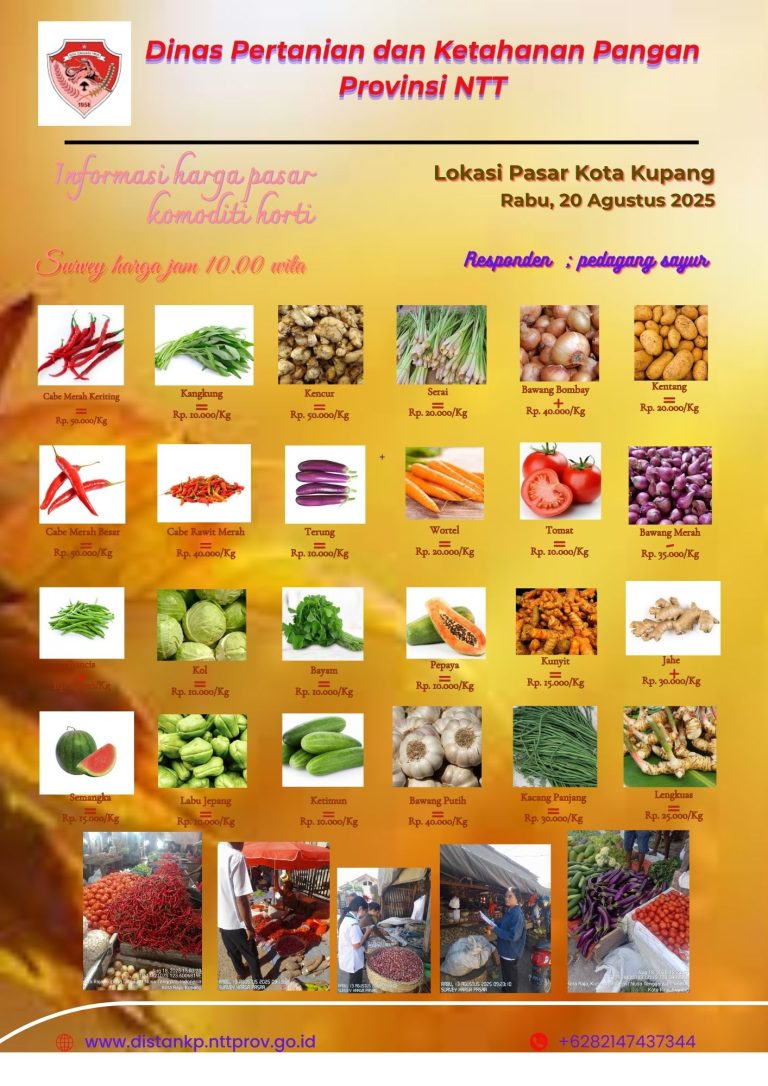 20 Agustus 2025 Informasi Harga Komoditi Tanaman Hortikultura di Kota Kupang
