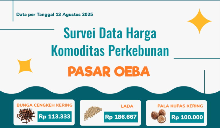 13 Agustus 2025 Informasi Harga Komoditas Perkebunan di Pasar Oeba