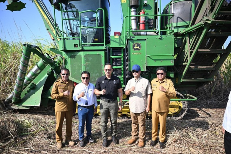 Lahan Berbatu di NTT Disulap Jadi Perkebunan Tebu Produktif