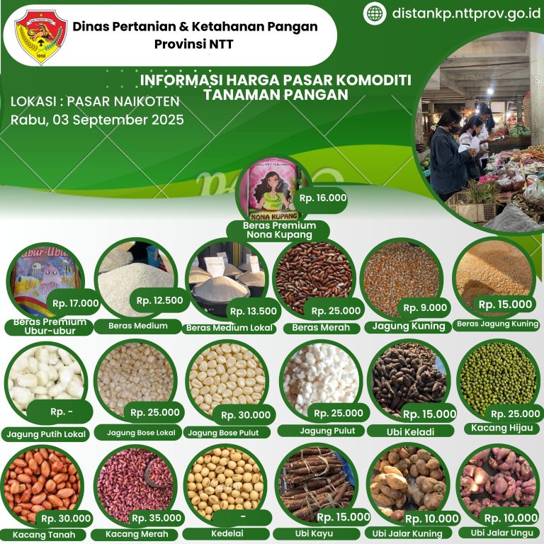 3 September 2025 Informasi Harga Komoditi Tanaman Pangan di Pasar Naikoten