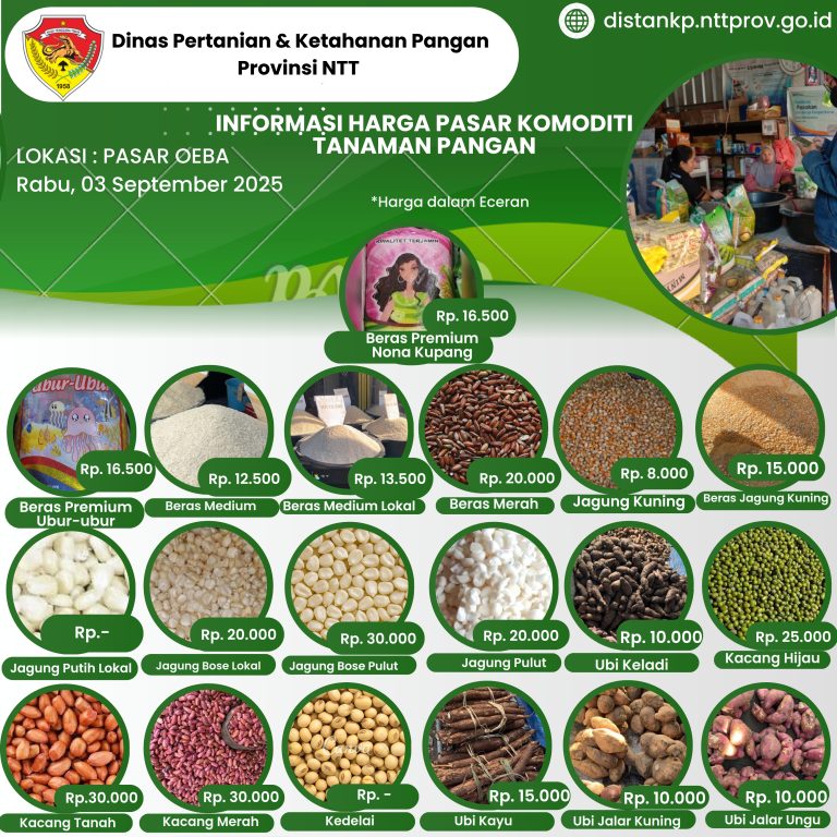 3 September 2025 Informasi Harga Komoditi Tanaman Pangan di Pasar Oeba