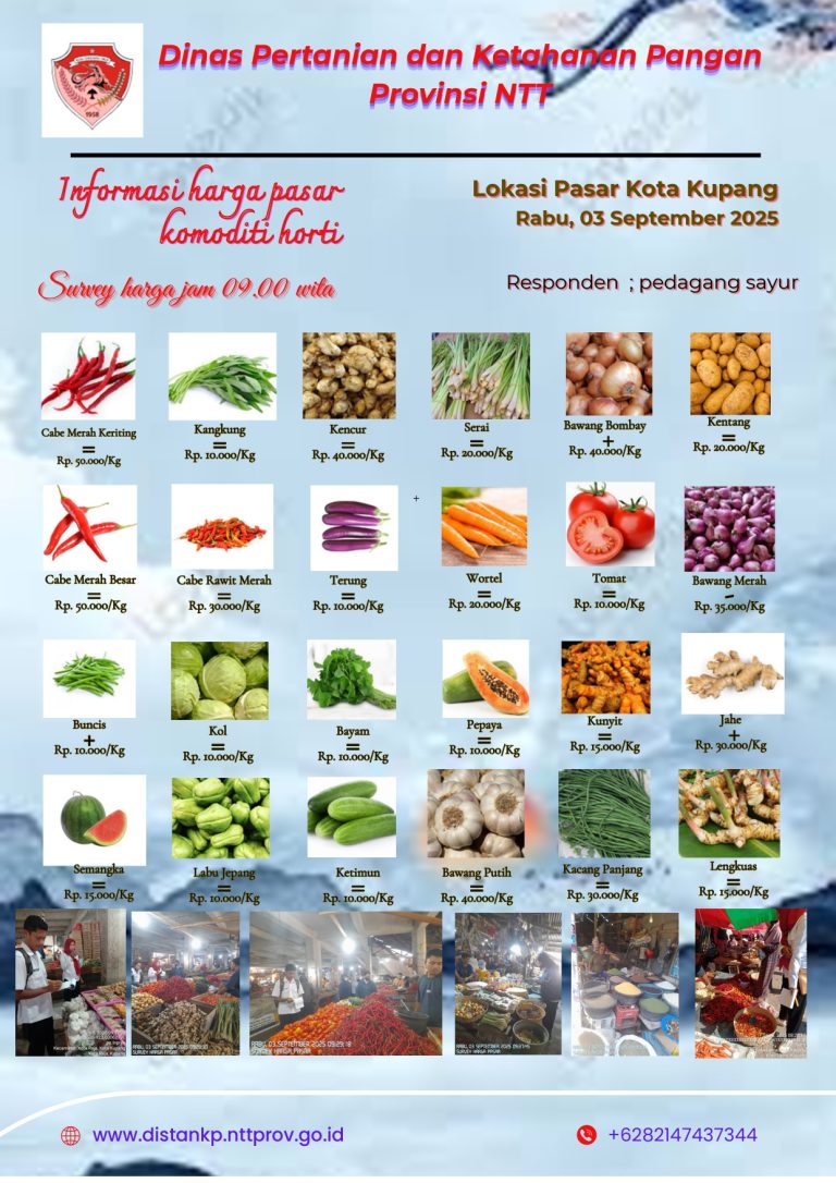 3 September 2025 Informasi Harga Komoditi Tanaman Hortikultura di Kota Kupang