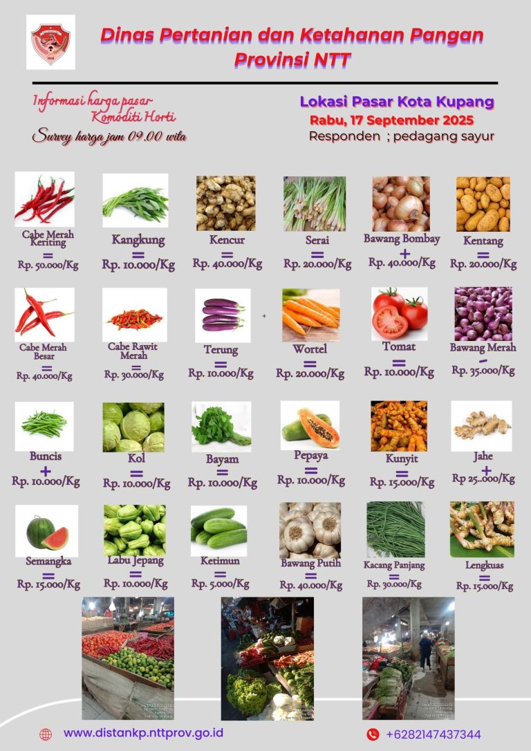 17 September 2025 Informasi Harga Komoditi Tanaman Hortikultura di Kota Kupang