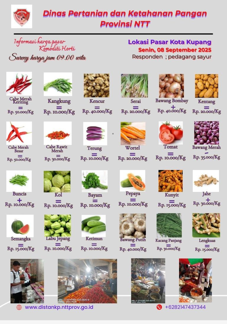 8 September 2025 Informasi Harga Komoditi Tanaman Hortikultura di Kota Kupang
