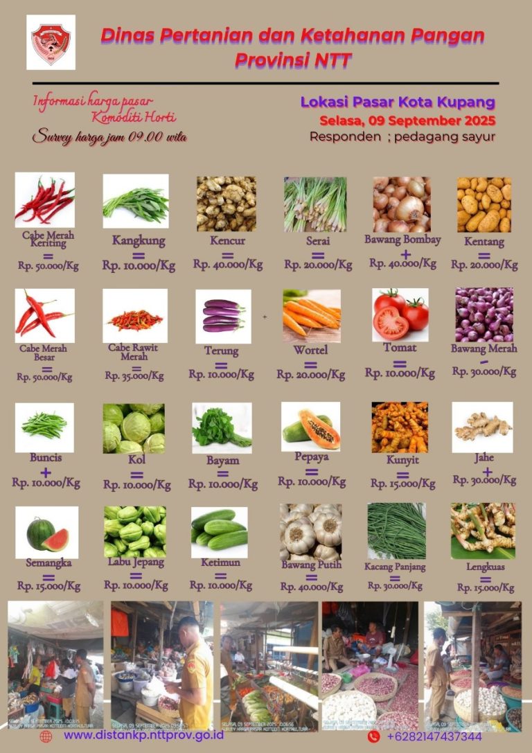 9 September 2025 Informasi Harga Komoditi Tanaman Hortikultura di Kota Kupang