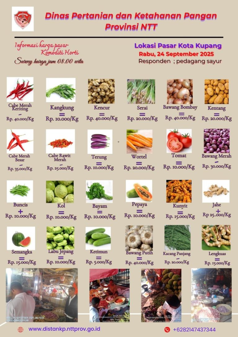 24 September 2025 Informasi Harga Komoditi Tanaman Hortikultura di Kota Kupang