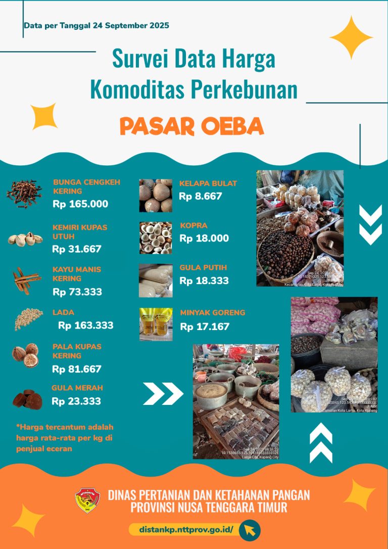 24 September 2025 Informasi Harga Komoditi Perkebunan di Pasar Oeba