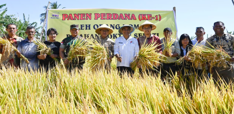 Panen Perdana Padi Kelompok Tani Sehati Kupang Tengah, Menuju IP3 Tahun 2025