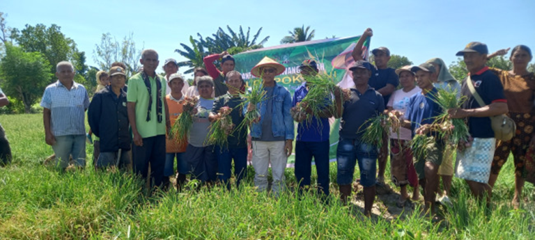 80 Ton Bawang Merah Tembus Pasar Luar NTT, Usman Husin: Ini Bukti Petani Kupang Hebat dan siap Bantu Alsintan Bagi Petani Oesao
