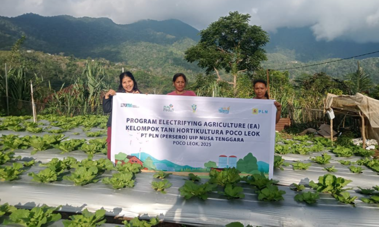 PLN Hadirkan Transformasi Pertanian Modern di Poco Leok Lewat Electrifying Agriculture