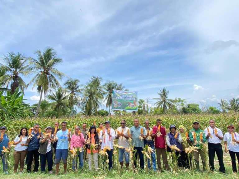 Gerakan Panen Jagung di Desa Pukdale: Kolaborasi Pemerintah dan APINDO Dorong Ketahanan Pangan NTT