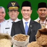 NTT Raih Penghargaan Swasembada Pangan Nasional dari Kementerian Pertanian