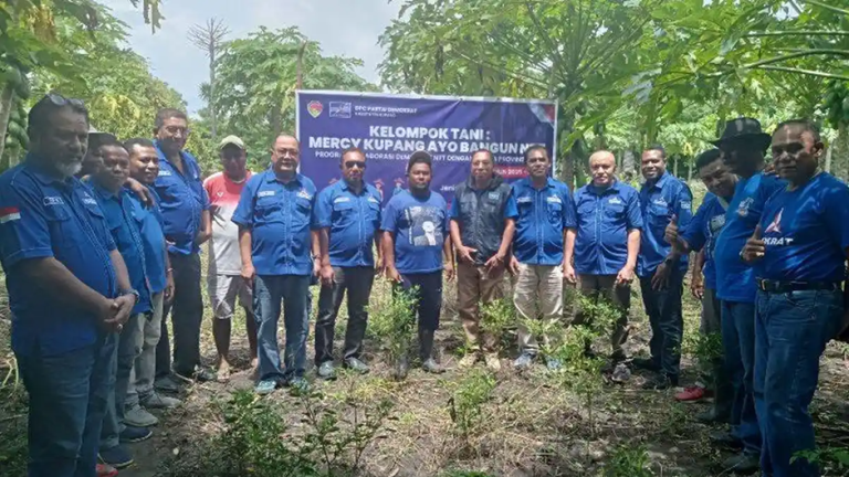 Dukung Hilirisasi Pertanian, DPD Partai Demokrat Cek Kebun Poktan Mercy Ayo Bangun NTT di Kupang 